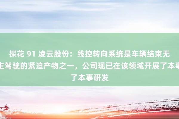 探花 91 凌云股份：线控转向系统是车辆结束无东谈主驾驶的紧迫产物之一，公司现已在该领域开展了本事研发