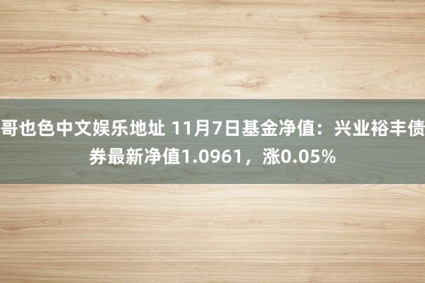 哥也色中文娱乐地址 11月7日基金净值：兴业裕丰债券最新净值1.0961，涨0.05%