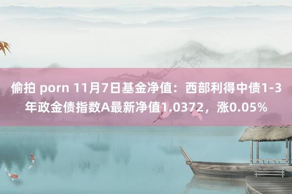 偷拍 porn 11月7日基金净值：西部利得中债1-3年政金债指数A最新净值1.0372，涨0.05%