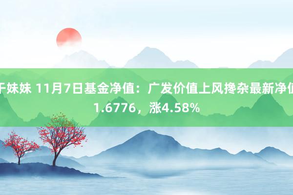 干妹妹 11月7日基金净值：广发价值上风搀杂最新净值1.6776，涨4.58%