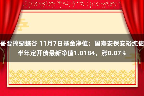 哥要搞蝴蝶谷 11月7日基金净值：国寿安保安裕纯债半年定开债最新净值1.0184，涨0.07%