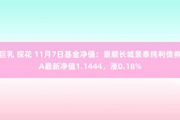 巨乳 探花 11月7日基金净值：景顺长城景泰纯利债券A最新净值1.1444，涨0.18%