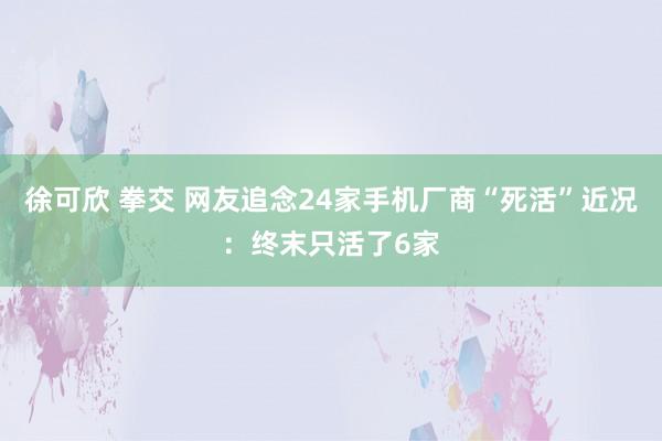 徐可欣 拳交 网友追念24家手机厂商“死活”近况：终末只活了6家