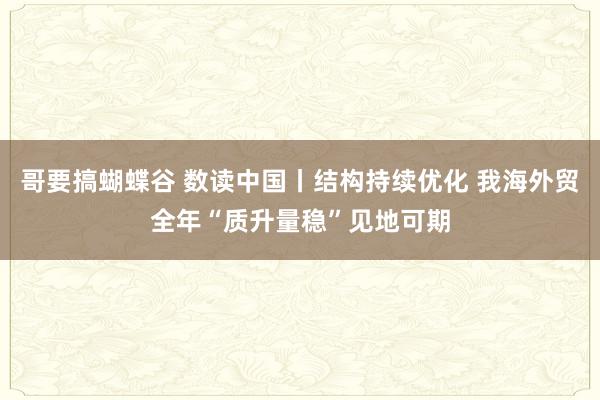 哥要搞蝴蝶谷 数读中国丨结构持续优化 我海外贸全年“质升量稳”见地可期