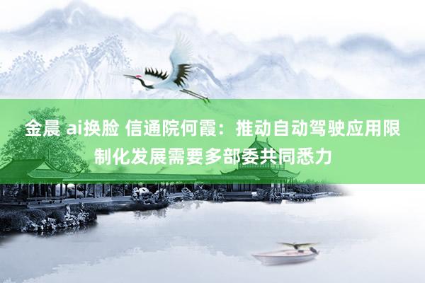 金晨 ai换脸 信通院何霞：推动自动驾驶应用限制化发展需要多部委共同悉力