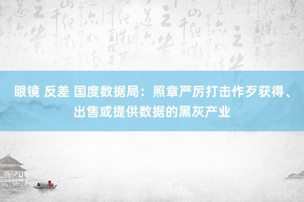 眼镜 反差 国度数据局：照章严厉打击作歹获得、出售或提供数据的黑灰产业