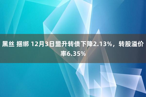 黑丝 捆绑 12月3日盟升转债下降2.13%，转股溢价率6.35%