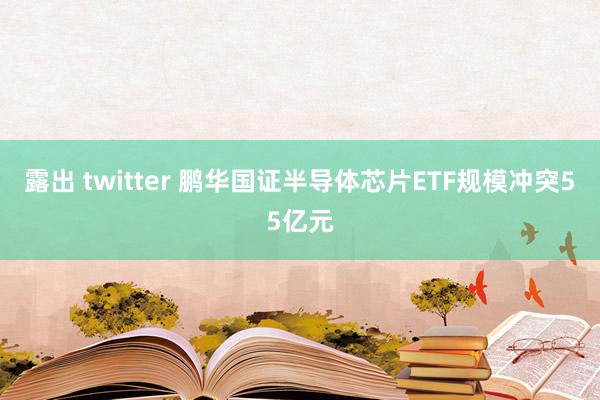 露出 twitter 鹏华国证半导体芯片ETF规模冲突55亿元