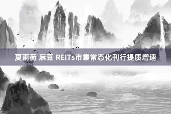 夏雨荷 麻豆 REITs市集常态化刊行提质增速