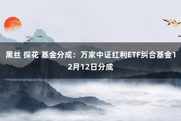 黑丝 探花 基金分成：万家中证红利ETF纠合基金12月12日分成