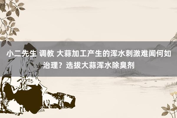 小二先生 调教 大蒜加工产生的浑水刺激难闻何如治理？选拔大蒜浑水除臭剂