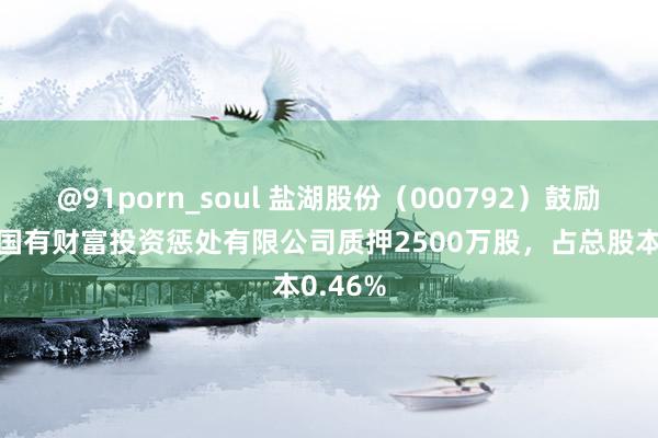 @91porn_soul 盐湖股份（000792）鼓励青海省国有财富投资惩处有限公司质押2500万股，占总股本0.46%