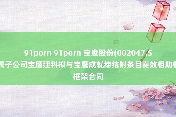 91porn 91porn 宝鹰股份(002047.SZ)及下属子公司宝鹰建科拟与宝鹰成就缔结附条目奏效相助框架合同