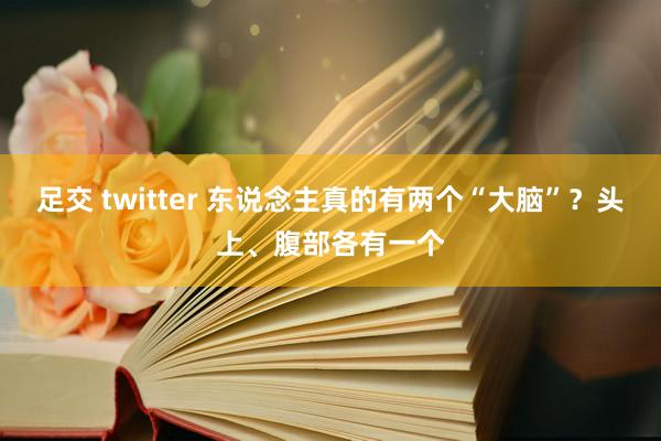 足交 twitter 东说念主真的有两个“大脑”？头上、腹部各有一个