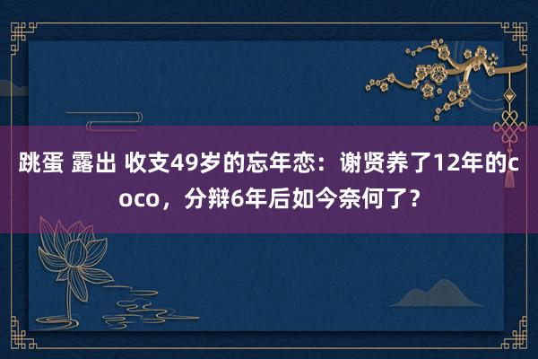 跳蛋 露出 收支49岁的忘年恋：谢贤养了12年的coco，分辩6年后如今奈何了？