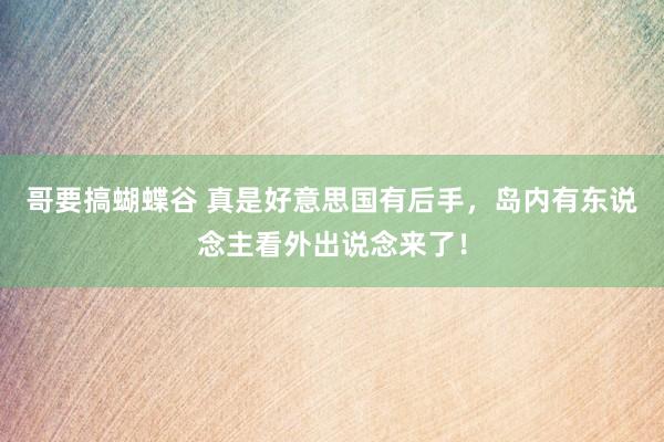 哥要搞蝴蝶谷 真是好意思国有后手，岛内有东说念主看外出说念来了！