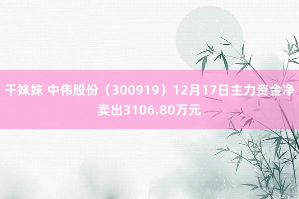 干妹妹 中伟股份（300919）12月17日主力资金净卖出3106.80万元