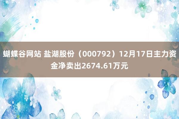 蝴蝶谷网站 盐湖股份（000792）12月17日主力资金净卖出2674.61万元