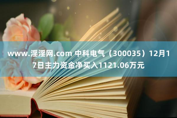 www.淫淫网.com 中科电气（300035）12月17日主力资金净买入1121.06万元