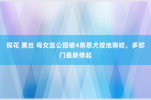 探花 黑丝 母女逛公园被4条恶犬按地撕咬，多部门最新修起