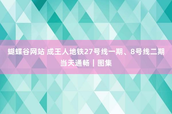 蝴蝶谷网站 成王人地铁27号线一期、8号线二期当天通畅｜图集