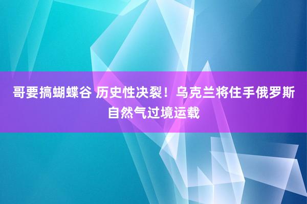 哥要搞蝴蝶谷 历史性决裂！乌克兰将住手俄罗斯自然气过境运载