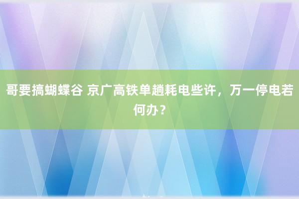 哥要搞蝴蝶谷 京广高铁单趟耗电些许，万一停电若何办？