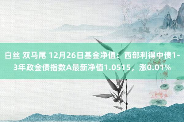 白丝 双马尾 12月26日基金净值：西部利得中债1-3年政金债指数A最新净值1.0515，涨0.01%