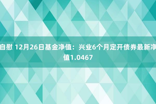 自慰 12月26日基金净值：兴业6个月定开债券最新净值1.0467