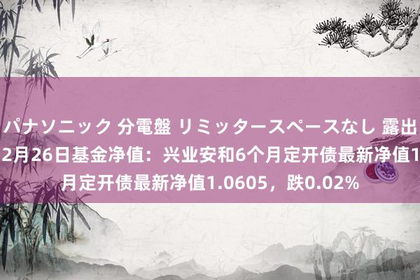 パナソニック 分電盤 リミッタースペースなし 露出・半埋込両用形 12月26日基金净值：兴业安和6个月定开债最新净值1.0605，跌0.02%