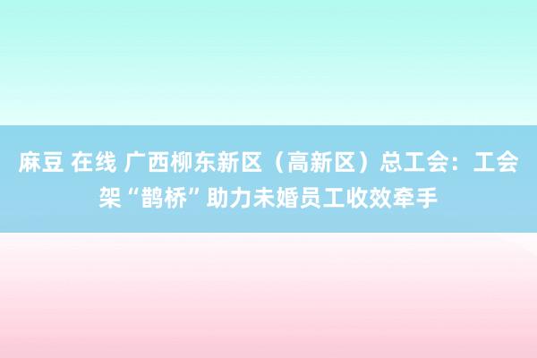 麻豆 在线 广西柳东新区（高新区）总工会：工会架“鹊桥”助力未婚员工收效牵手