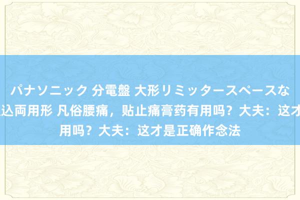 パナソニック 分電盤 大形リミッタースペースなし 露出・半埋込両用形 凡俗腰痛，贴止痛膏药有用吗？大夫：这才是正确作念法