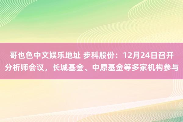 哥也色中文娱乐地址 步科股份：12月24日召开分析师会议，长城基金、中原基金等多家机构参与