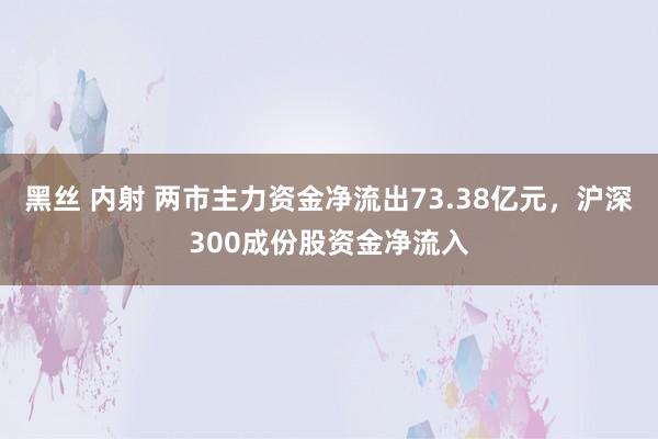 黑丝 内射 两市主力资金净流出73.38亿元，沪深300成份股资金净流入