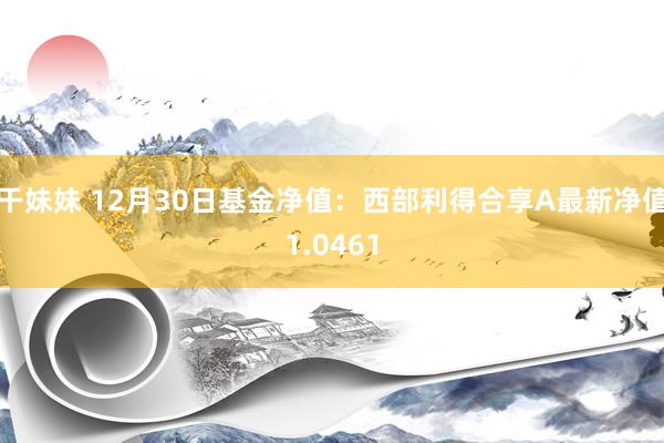 干妹妹 12月30日基金净值：西部利得合享A最新净值1.0461