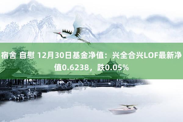 宿舍 自慰 12月30日基金净值：兴全合兴LOF最新净值0.6238，跌0.05%