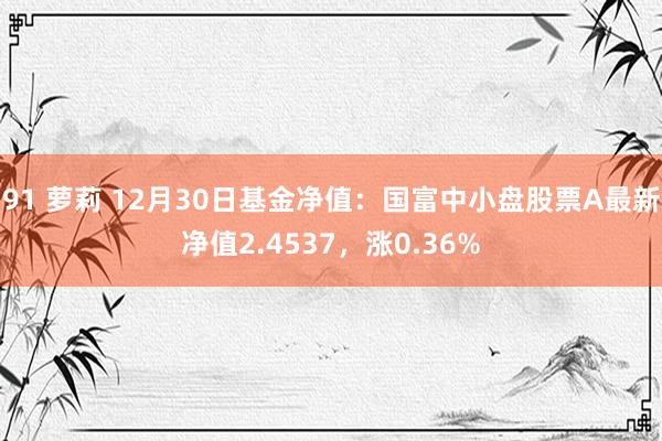 91 萝莉 12月30日基金净值：国富中小盘股票A最新净值2.4537，涨0.36%