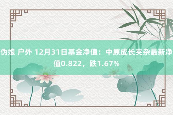 伪娘 户外 12月31日基金净值：中原成长夹杂最新净值0.822，跌1.67%