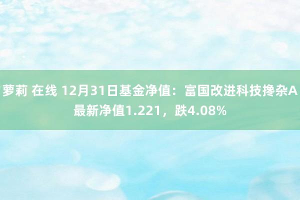 萝莉 在线 12月31日基金净值：富国改进科技搀杂A最新净值1.221，跌4.08%