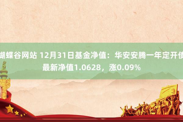 蝴蝶谷网站 12月31日基金净值：华安安腾一年定开债最新净值1.0628，涨0.09%