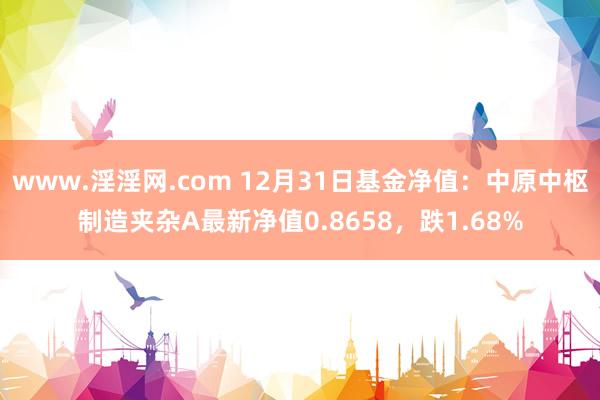 www.淫淫网.com 12月31日基金净值：中原中枢制造夹杂A最新净值0.8658，跌1.68%