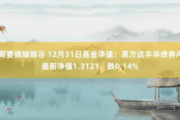 哥要搞蝴蝶谷 12月31日基金净值：易方达丰华债券A最新净值1.3121，跌0.14%