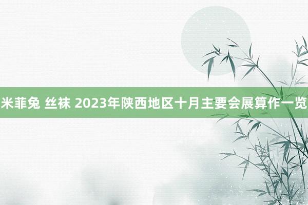 米菲兔 丝袜 2023年陕西地区十月主要会展算作一览