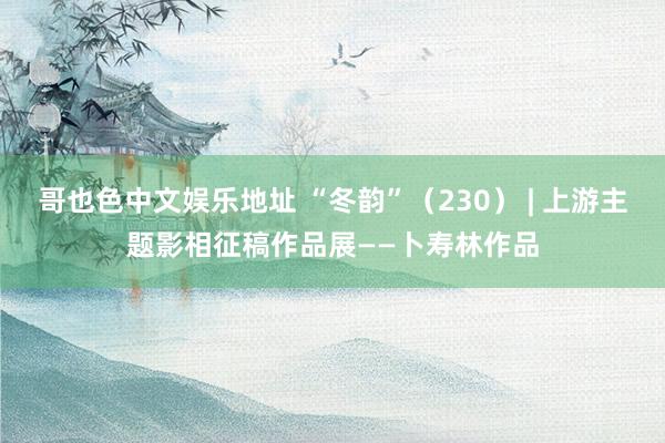 哥也色中文娱乐地址 “冬韵”（230） | 上游主题影相征稿作品展——卜寿林作品