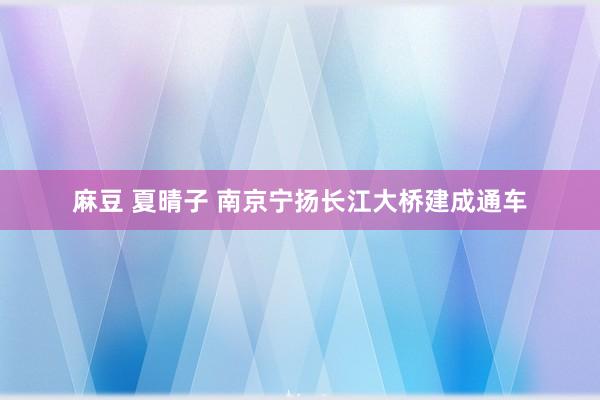 麻豆 夏晴子 南京宁扬长江大桥建成通车