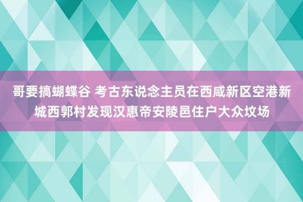 哥要搞蝴蝶谷 考古东说念主员在西咸新区空港新城西郭村发现汉惠帝安陵邑住户大众坟场