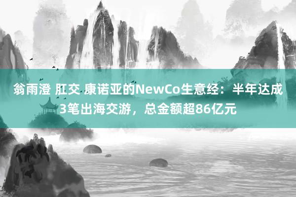 翁雨澄 肛交 康诺亚的NewCo生意经：半年达成3笔出海交游，总金额超86亿元