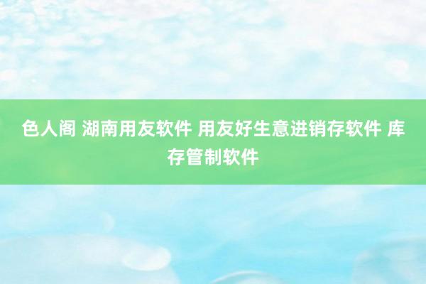 色人阁 湖南用友软件 用友好生意进销存软件 库存管制软件