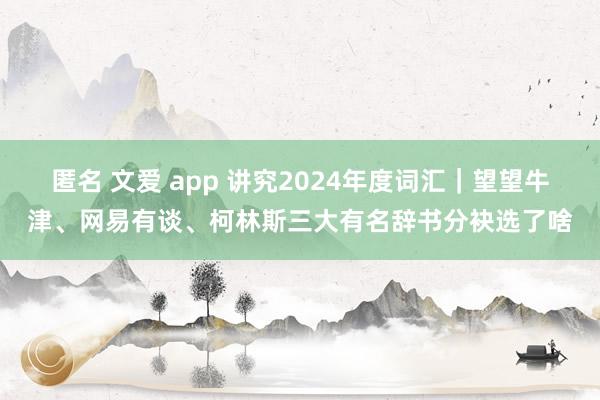 匿名 文爱 app 讲究2024年度词汇｜望望牛津、网易有谈、柯林斯三大有名辞书分袂选了啥