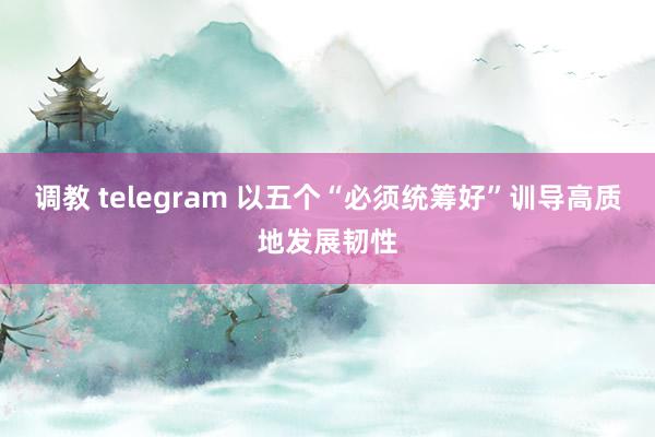 调教 telegram 以五个“必须统筹好”训导高质地发展韧性